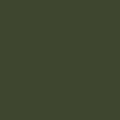 BS381-224 Deep Bronze Green Aerosol Paint